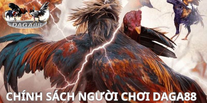 Cập nhật các ưu đãi cho tất cả thành viên tại nhà cái daga88