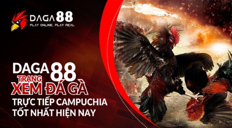 Nhà cái daga88 - Trang chủ cá cược trực tiếp đá gà cựa dao tại Thomo