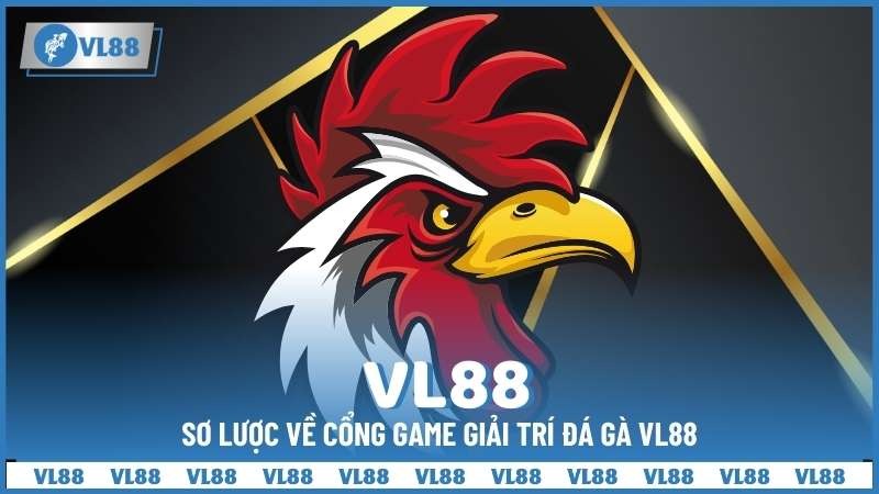 VL88 là gì? 